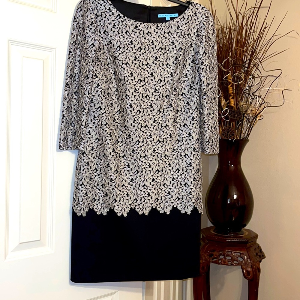 Antonio Melani dress